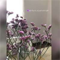 Razna Al Ahbabi