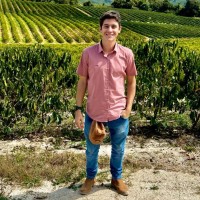 Henrique Voltani Chaves