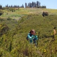 Debbie Grafman Simon