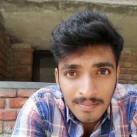 Turlapati V V Phani Rajeswar Sarma