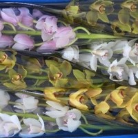 михаил суханов
