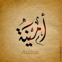 Amina moosa albaloshi