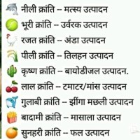 Chitresh Patel
