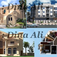 Dina Ali