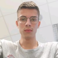 Vinicius Fedato Seneme