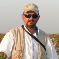Nelson de Campos Júnior