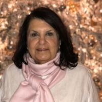 judith stein