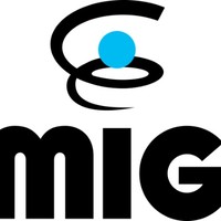 MIG Group