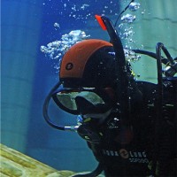 Miguel Paiva