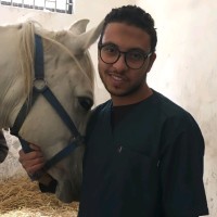 Yahia Nour