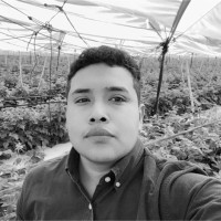 Ismael Ramirez Gloria