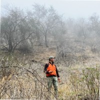 Carlos Santibañez Díaz