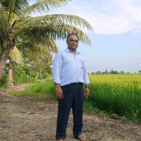 Sheby Thomas