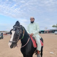 Ziyauddin Shaikh