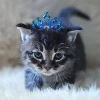 Nanthaporn Wongprayoon