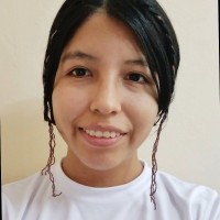 Gladys Chambilla Aleluya