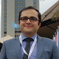 Mohammed Mohammed Kamal