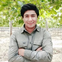 Renato Perez S.