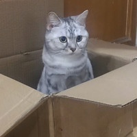 黄雯琪