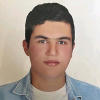Amir Hossein Haji Mohammadi