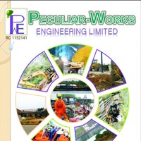 PECULIAR WORKS ENGINEERING LTD