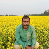 A Mannan Choudhury