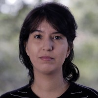 Isis Reis