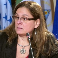 Andrea Alfonsina Rizzotti