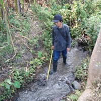 Gembong Wahyu Miwanhartani