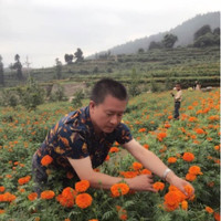 王锡忠