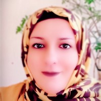 laila safa