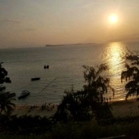 陈晓东