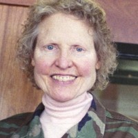 Terry Witt