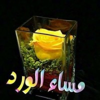 Wafaa Alsayed