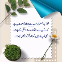 Mohammed Farhat