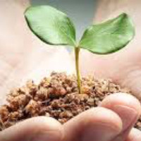 NextDigital Agile Coaching Agency