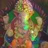 Vijendra Parte