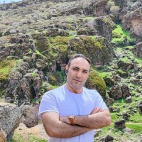 Ali Mahjoubifar