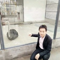 邹小军