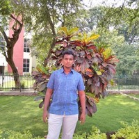 vignesh waran