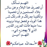 Amr Gamaz