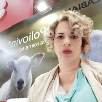 Jelena Erdevik Panovic