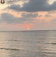 علوه يحيى