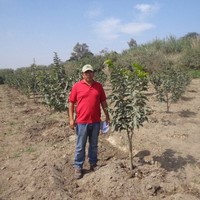 juan mendoza alcantara