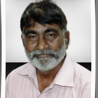 M S Shaikh