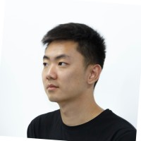 Vladislav Kim