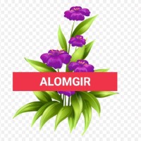 Mohammed Alomgir