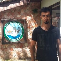 Mustafa Polatlı