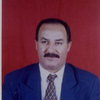 Kareem Faleh