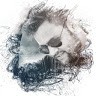 Online Course